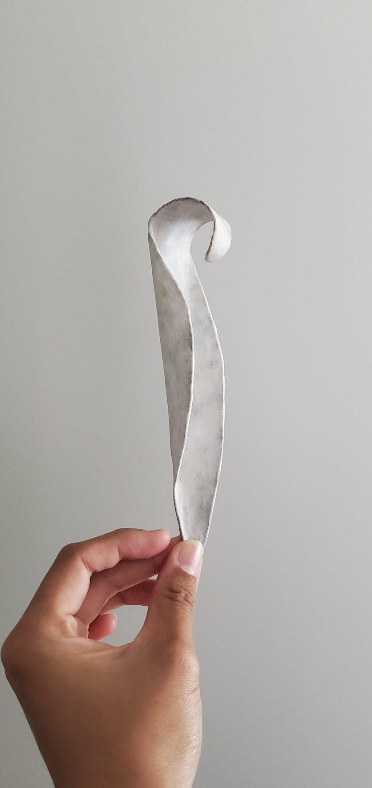 花びらの形をした茶即