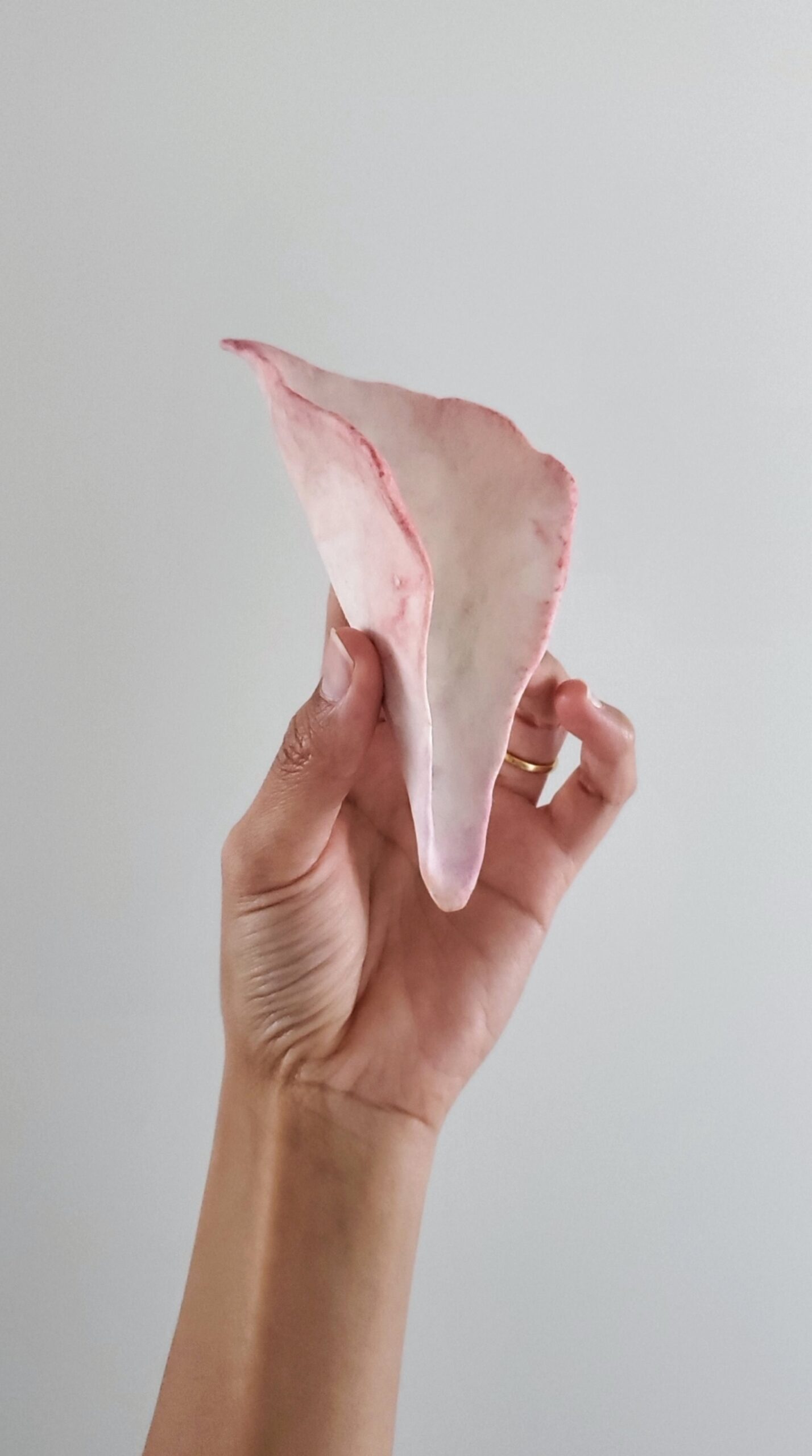 花びらの形をした茶即