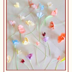 母の日ギフト、決まりました？