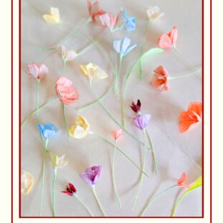 母の日ギフト、決まりました？